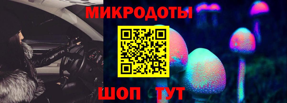 Донской  Псилоцибиновые грибы MAGIC MUSHROOMS  Вход с VPN 