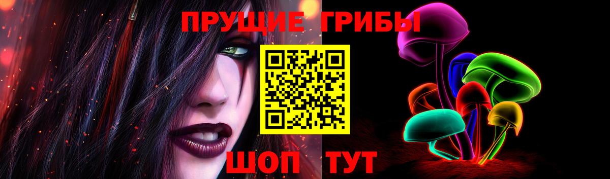 Галлюциногенные грибы Cubensis Донской