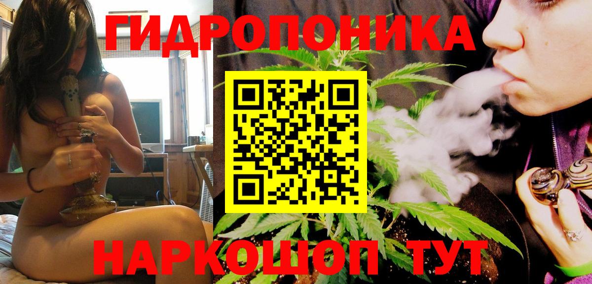 Шишки марихуана Amnesia  Вход с VPN  Марихуана планчик  Донской  Марихуана гибрид 